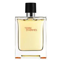Hermès Terre D'Hermes Pour Homme - 100 ML Eau de toilette Herren Parfum