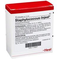 Heel Staphylococcus-Injeel Ampullen
