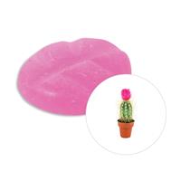 scentchips Cactusbloem Geurchips 