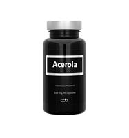 Apb Holland Acerola vitamine C 90 capsules