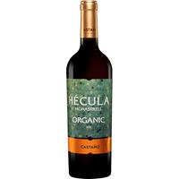 Castaño »Hécula« 2019  0.75L 14.5% Vol. Rotwein Trocken aus Spanien