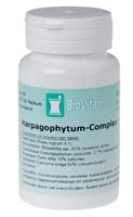 Harpagophytum-Complex Tabletten 100st