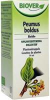 Biover Boldo fragrans tinctuur 50ml