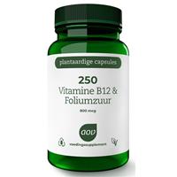 AOV 250 Vitamine B12 & Foliumzuur