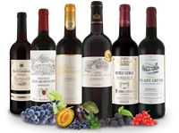 Verschiedene Die Welt der Bordeaux-Weine