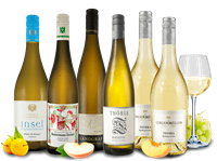 Verschiedene Probierpaket mit 6 Flaschen Deutsche Weißweinauswahl von echten Aufsteigern