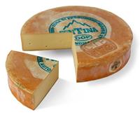 500gr Fontina DOP Kaas 50+