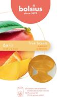 True Scents - Wax Melts Apfel-Zimt, 6er Pack Kerze - Bolsius