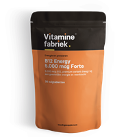 Vitaminefabriek B12 Energy - 5000 mcg Forte - 30 zuigtabletten - .nl