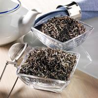 Rauf Tee Schwarzer Tee Bio Darjeeling Spezial Blend