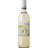 Bodegas Valsacro Stellar Organics Ithemba Sauvignon Blanc 2021