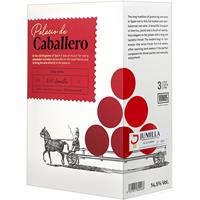 Palacio de Caballero Tinto - 3 Liter  3L 14.5% Vol. Rotwein Trocken aus Spanien