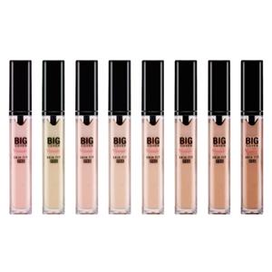 Etude House Big Cover Skin Fit Concealer Pro - Neutral Peach - 7g