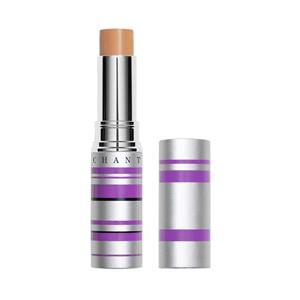 Chantecaille Real Skin + Eye and Face Stick 4g (Various Shades) - 6