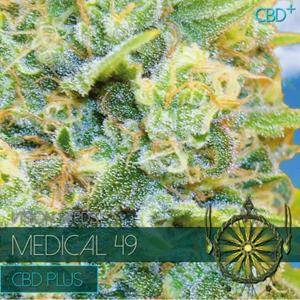Headshop Medical 49 (CBD+) 3 seeds
