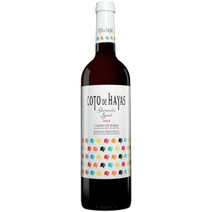 Aragonesas Coto de Hayas Tinto 2021  0.75L 13.5% Vol. Rotwein Trocken aus Spanien