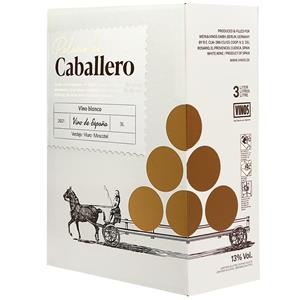 Palacio de Caballero Blanco - 3 Liter  3L 13% Vol. Weißwein Trocken aus Spanien