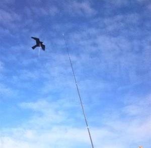 AllesTegenOngedierte.nl Bird-Scare Kite vlieger set 7 meter