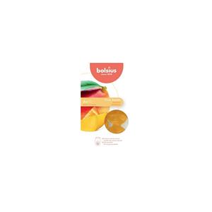 True Scents - Wax Melts Mango, 6er Pack Kerze - Bolsius