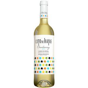 Aragonesas Coto de Hayas Blanco 2022  0.75L 13% Vol. Weißwein Trocken aus Spanien