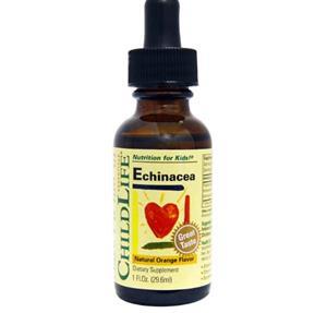 ChildLife, Essentials, Echinacea, natürliches Orangen Aroma, 30 ml (29,6 ml)