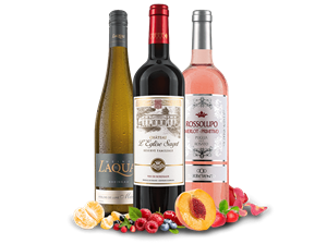 Ebrosia Weinwelt Genuss-Paket für Wein-Liebhaber