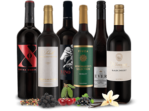Ebrosia Weinwelt Rotes Sommergenuss-Paket