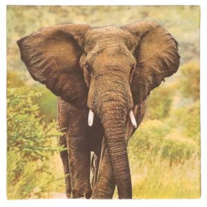 Esschert Design 60x Safari thema servetten met olifant print 33 x 33 cm -