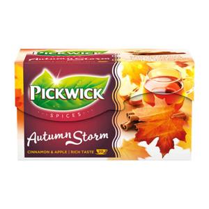 Pickwick SPICES TEA BAGS AUTUMN STORM 40G 20X2G