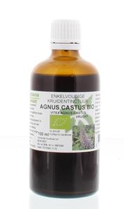 Natura Sanat Vitex Agnus Castus Fruct Tinctuur Bio, 100 ml