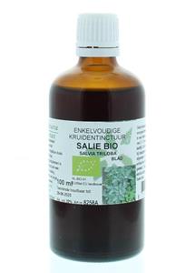 Cruydhof Natura Sanat Salvia Triloba Fol / Salie Tinctuur Bio, 100 ml