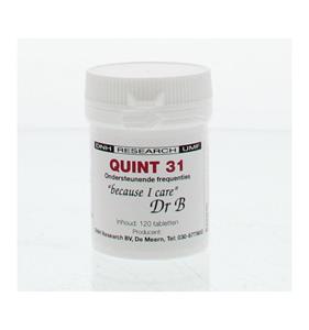 DNH Quint 31