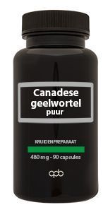 APB Holland Canadese geelwortel 480 mg puur 90 Capsules
