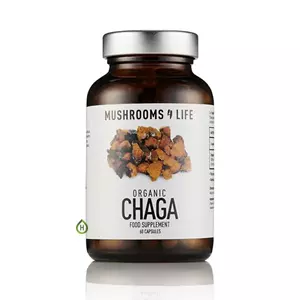 Mushrooms4Life Chaga Paddenstoelen Bio - 60caps | 