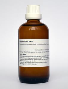 Homeoden Heel Solidago Virgaurea Phyto, 100 ml