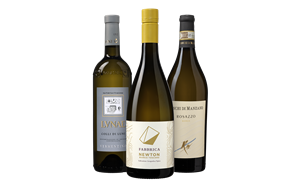 Colaris Smaak van Italië - wit | Wijnpakket