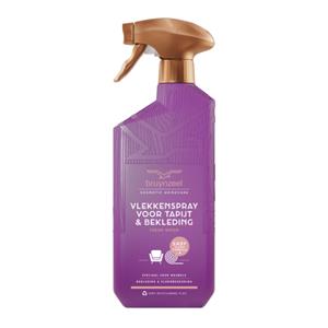 Bruynzeel Vlekkenspray Tapijt- en Bekleding Fresh Wood 500 ml