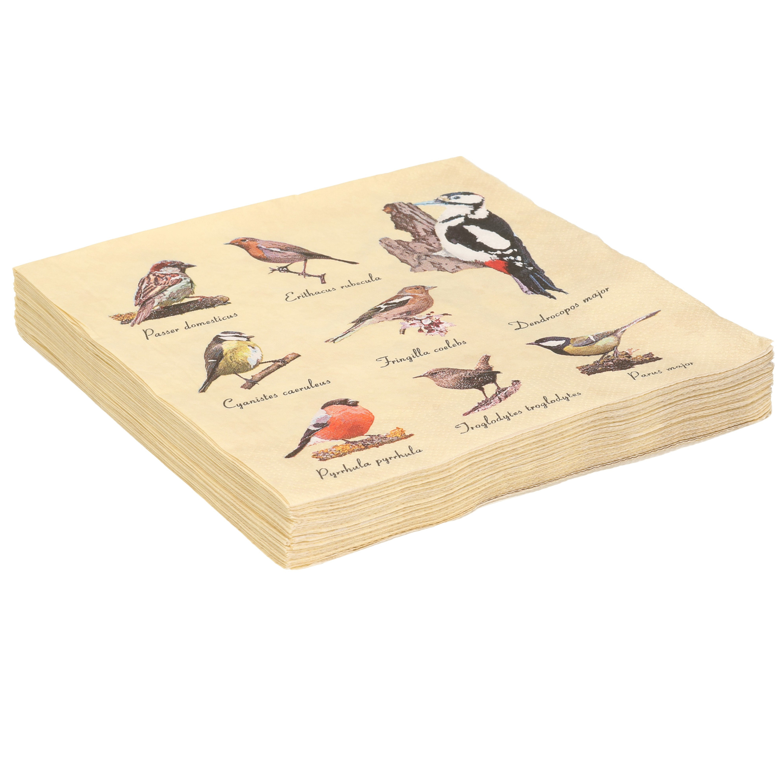 Esschert Design 20x Papieren servetten met vogels print 33 x 33 cm -