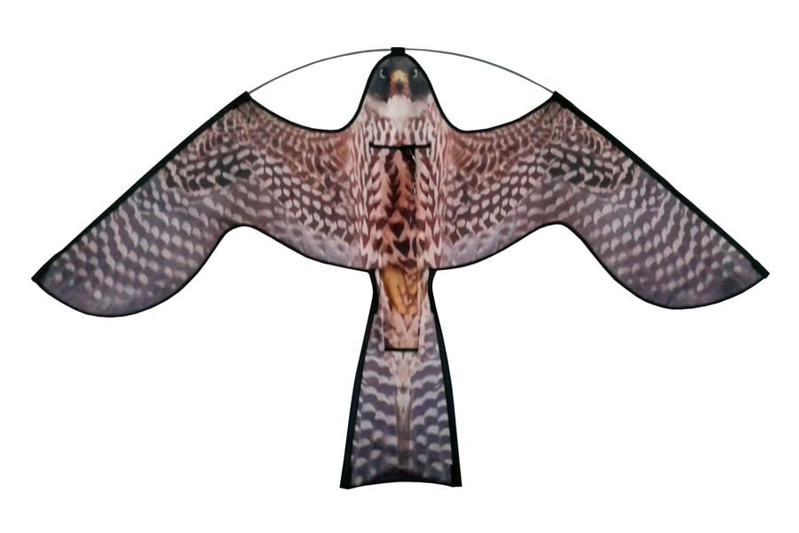 Vogelverschrikker Roofvogelprint Hawk Kite 7m