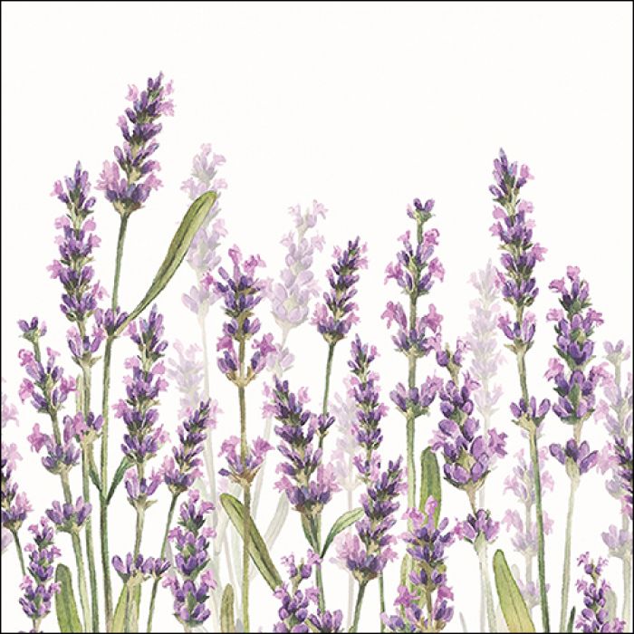 Ambiente Luxury Paper Products Papierserviette 20 Servietten Lavender Shades white 33x33cm, (20 St)