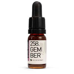 Natural Heroes Gember CO2 Extract 10 ml