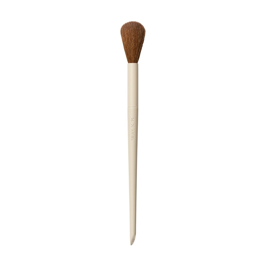 Morphe X Ariel A22 Blush Brush