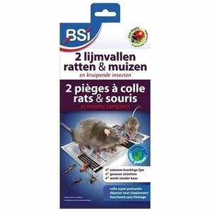 BSI 2 lijmvallen voor ratten en muizen