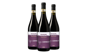 Wijnbeurs Wijn Ornelis Pakket Amarone