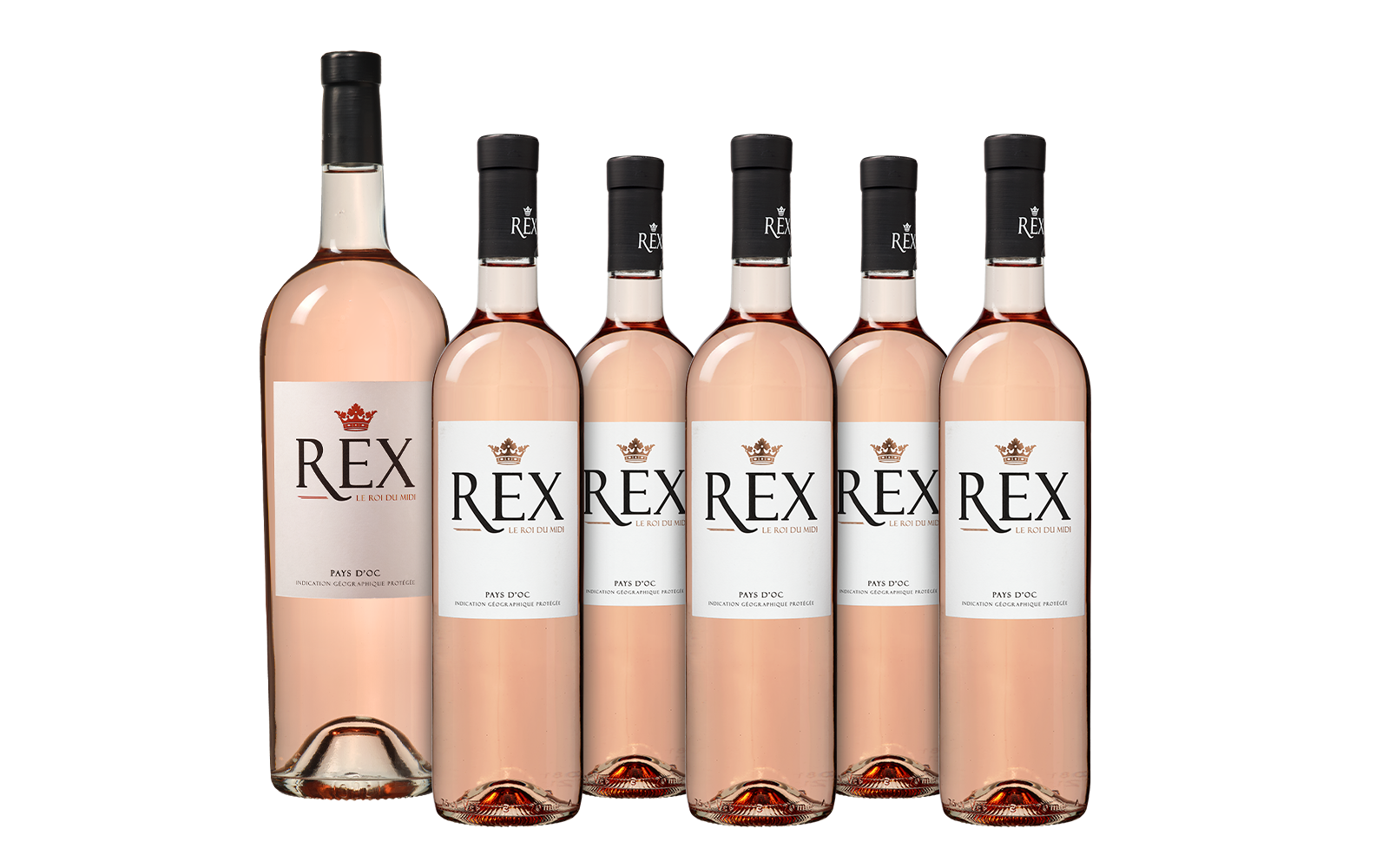 Wijnbeurs REX Rosé pakket met Magnum