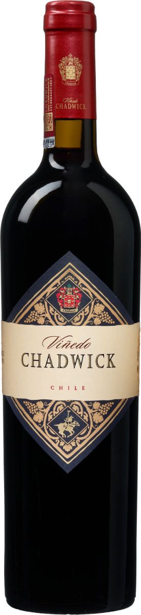 Colaris Viñedo Chadwick 2017 Maipo Valley