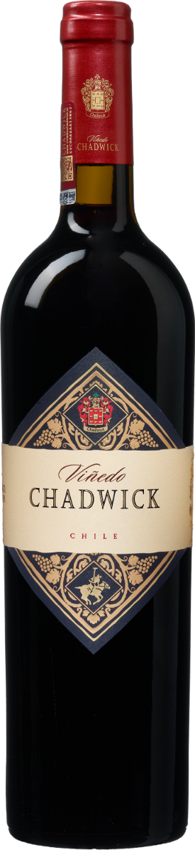 Colaris Viñedo Chadwick 2021 Maipo Valley