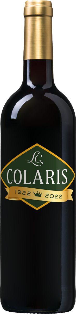 Colaris Almaviva 2020 Maipo Valley