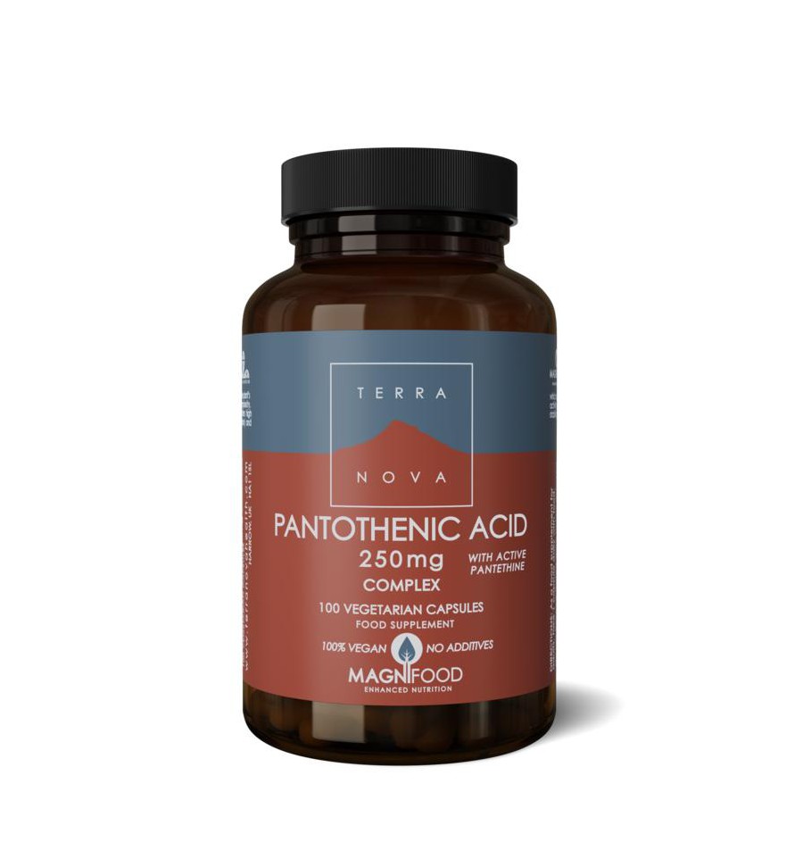 Terranova Pantothenic acid 250mg complex