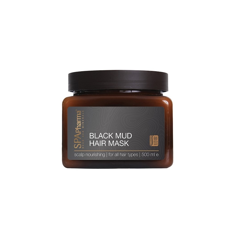 Arganicare Black Mud Hair Mask